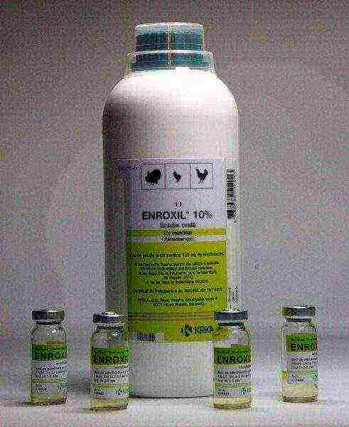 Enroxil 10% in bottle and ampoules