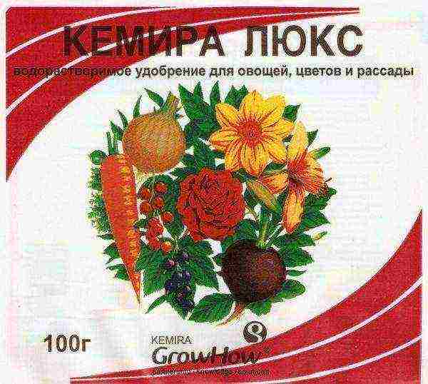 Kemira - ready-to-feed for vegetable marrow seedlings