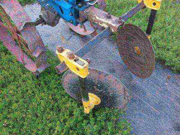 How to plant potatoes under a walk-behind tractor