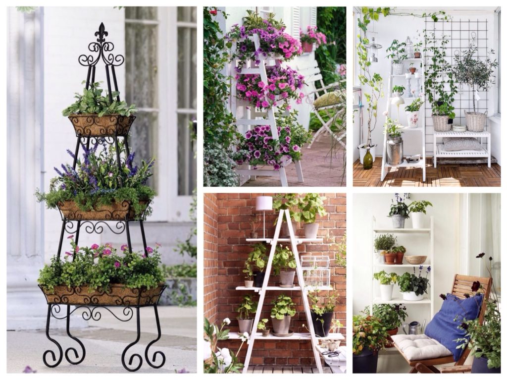 what flowers can be grown on a glassed-in balcony in summer