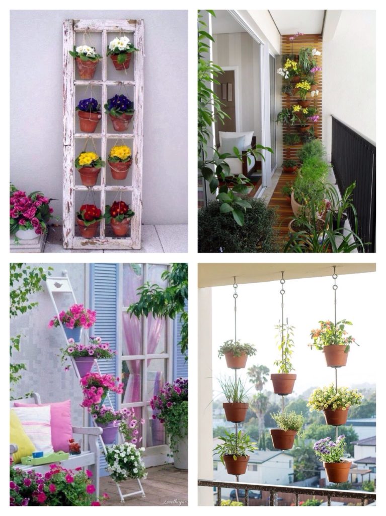 what flowers can be grown on a glassed-in balcony in summer