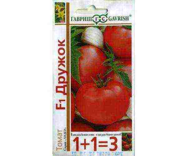 which tomatoes are best grown in a polycarbonate greenhouse