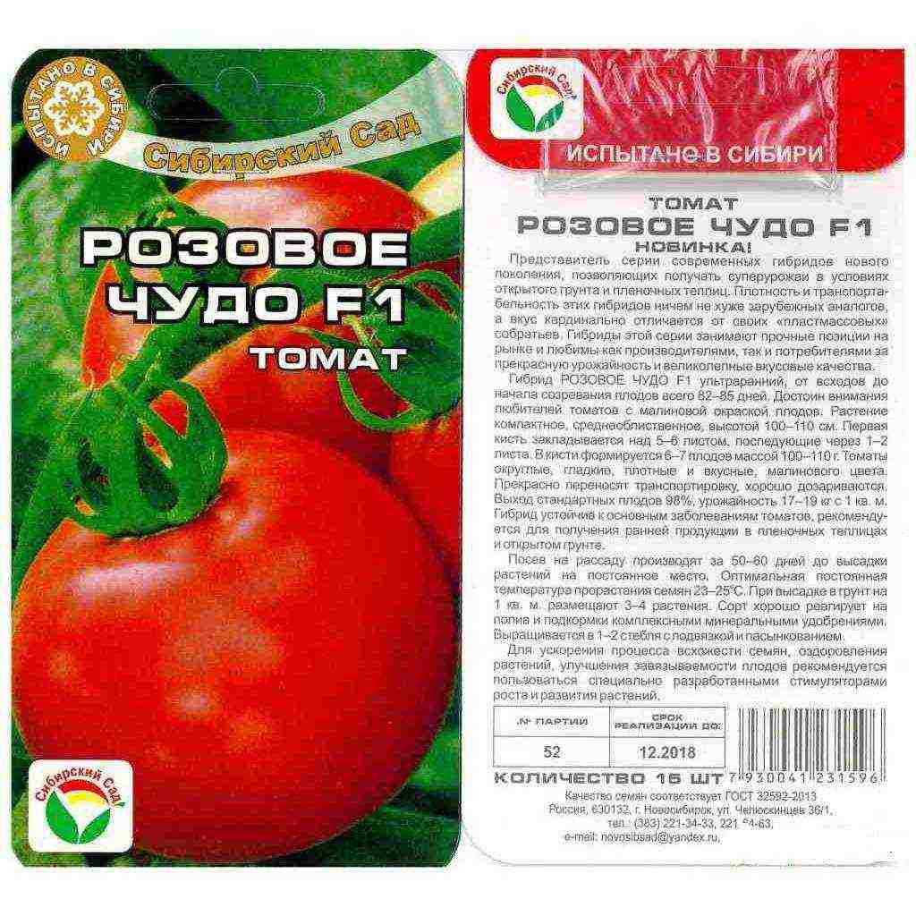 which tomatoes are best grown in a polycarbonate greenhouse