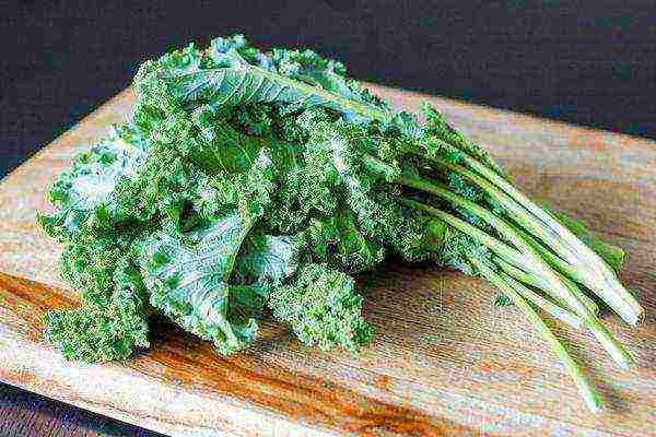 Kale has more calcium than milk