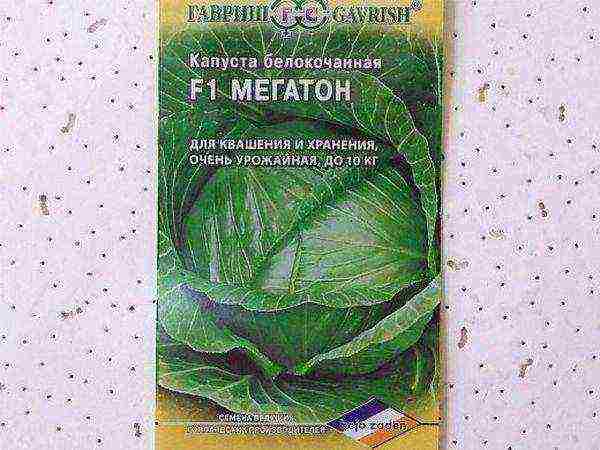 Megaton Cabbage Seeds