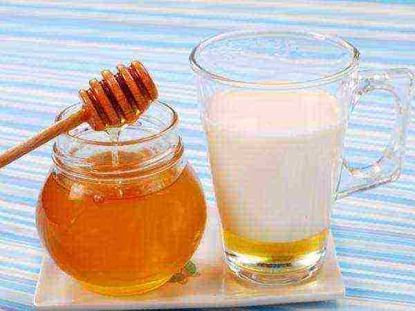 العسل والكفير ، قناع مغذي للشعر