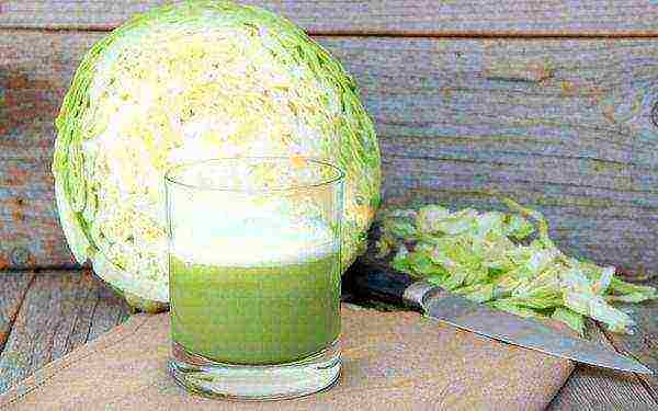 Cabbage juice is actively used in folk medicine