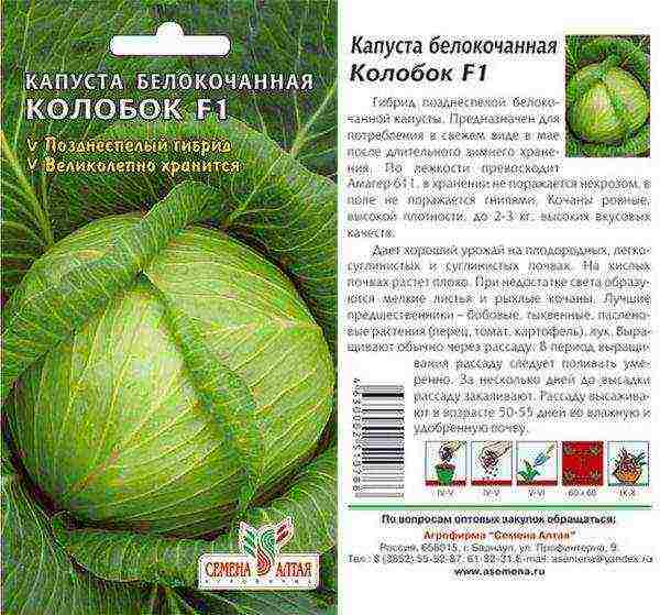 Cabbage seeds Kolobok