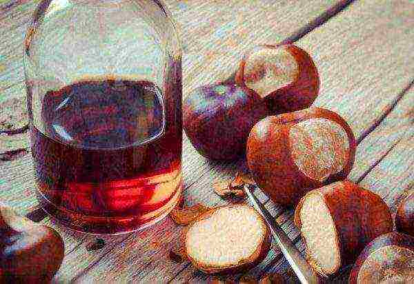 Horse chestnut tincture is useful for varicose veins