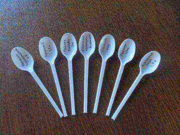 Disposable spoons can be used as markers