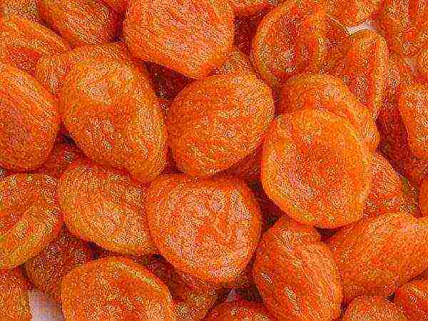 Dried pitted apricots or dried apricots