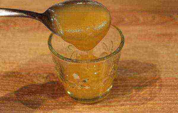 spoon with honey