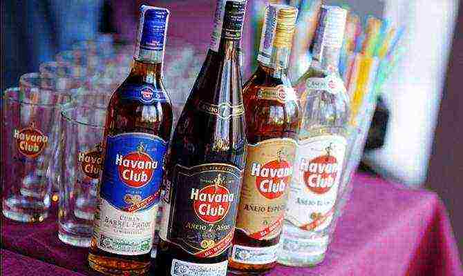 the best rum varieties