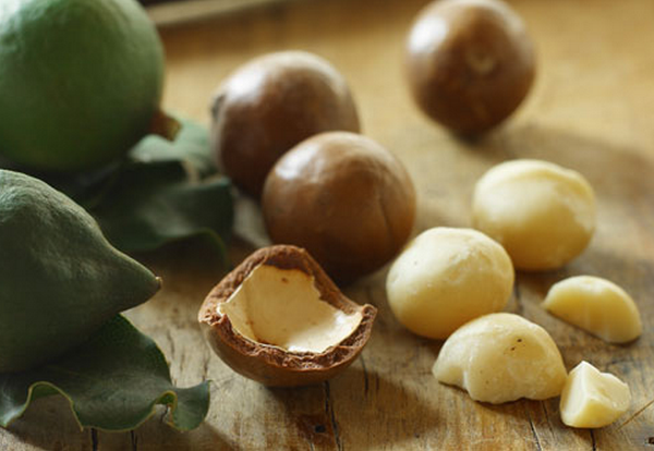 Macadamia fruit is very often used in luxury cosmetics