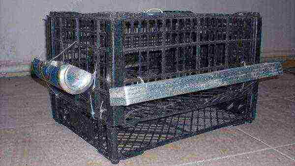 Ready-made quail cage from plastic boxes