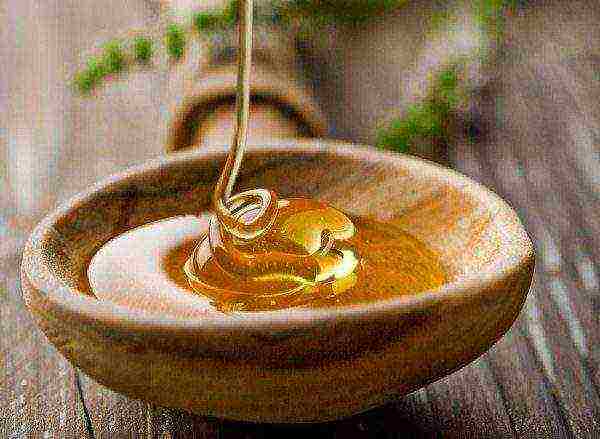 Viscous heather honey