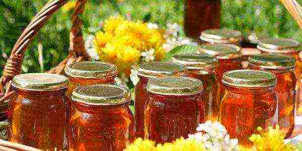 Honey poured into jars and ready for sale or storage