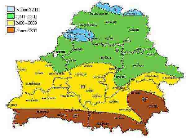 is it possible to grow tangerines in Belarus in the open field