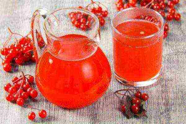 Viburnum berry juice