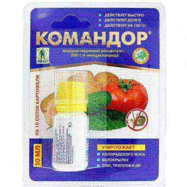 General characteristics of the drug Komandor