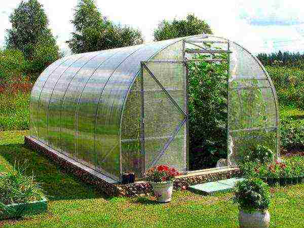 Suitable greenhouse for growing polycarbonate melons