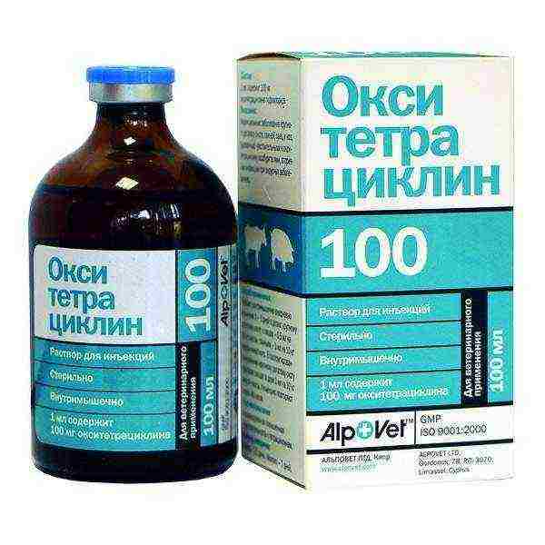 Oxytetracycline