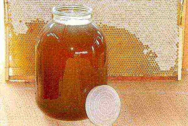 Honey herbs in a jar and frame with honey