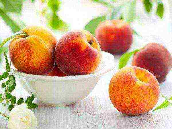 The health benefits of eating peaches are the same for men and women.