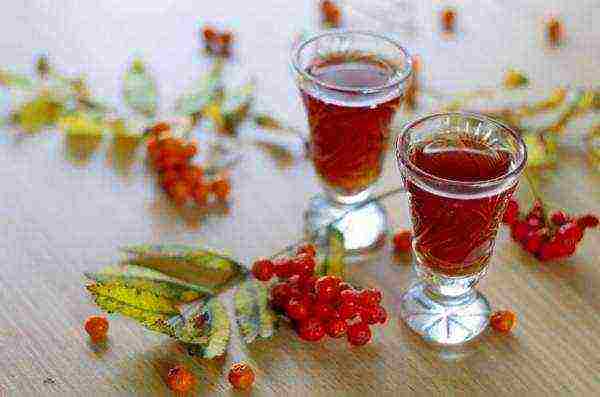 Useful and medicinal properties of fruits, leaves and bark for the human body