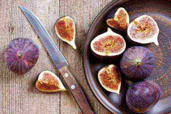 The figs must be fresh and fully ripe, if the fig smells sour, you do not need to eat it - the fruit has deteriorated