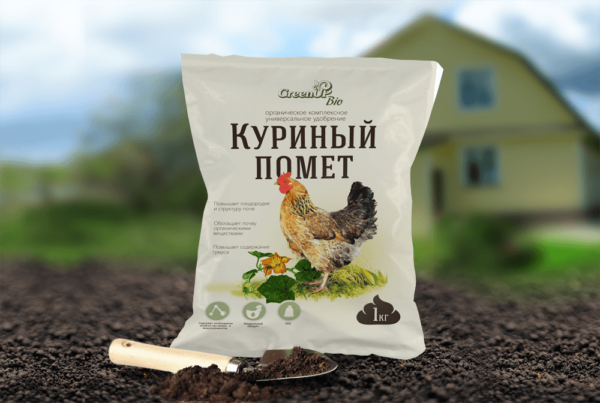 planting zucchini seeds in open ground in the Donetsk region