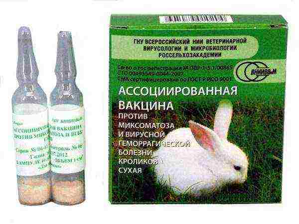Dry vaccine against myxomatosis and viral hemorrhagic disease of rabbits