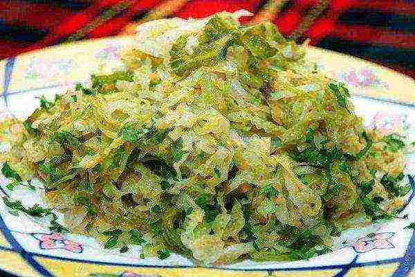 Savoy cabbage should not be eaten for gastrointestinal diseases