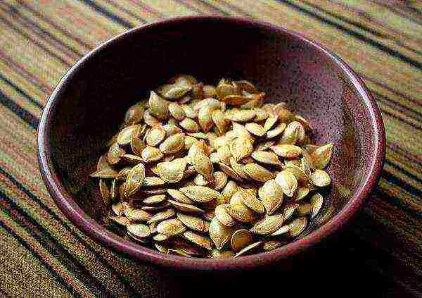 Preparing seeds for planting