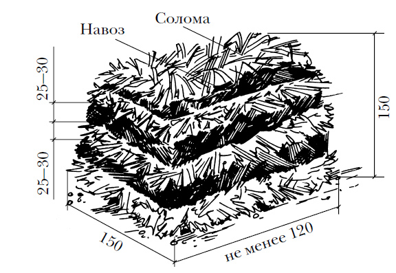 Diagram of the main components for mushroom compost