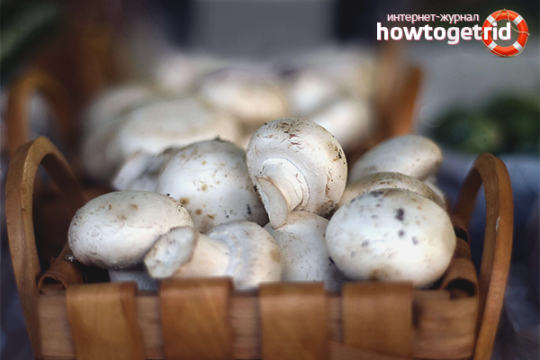 see how to grow mushrooms at home