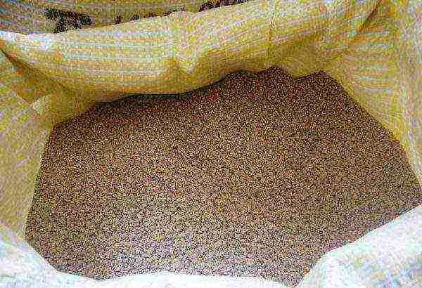 Compound feed for chickens