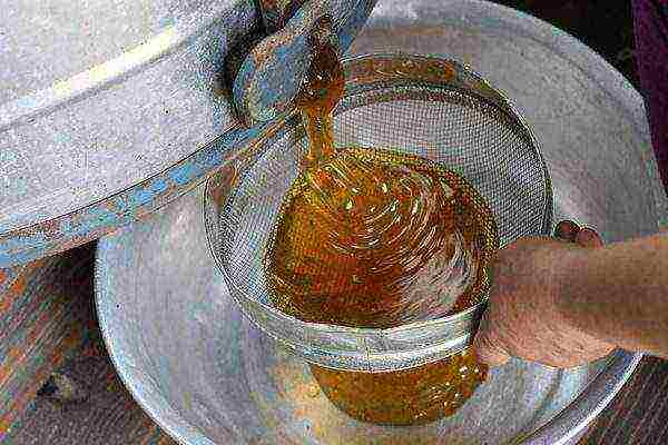 stringiness of honey