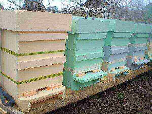 Styrofoam bee hives