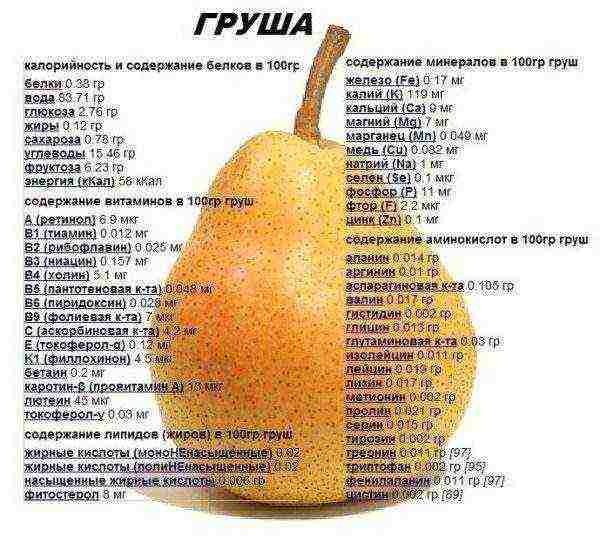 Pear fruit composition