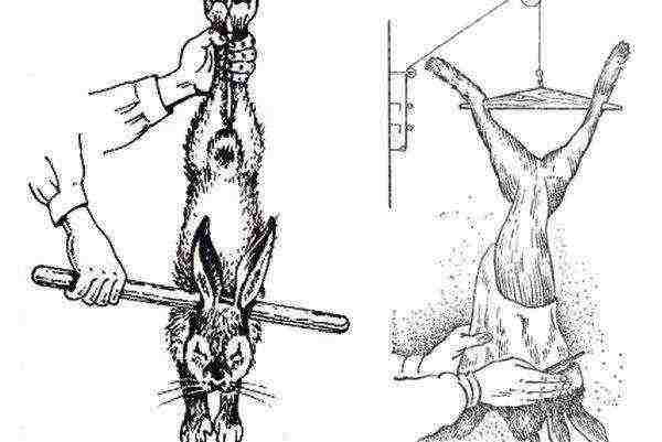 Scheme for hammering and skinning a rabbit