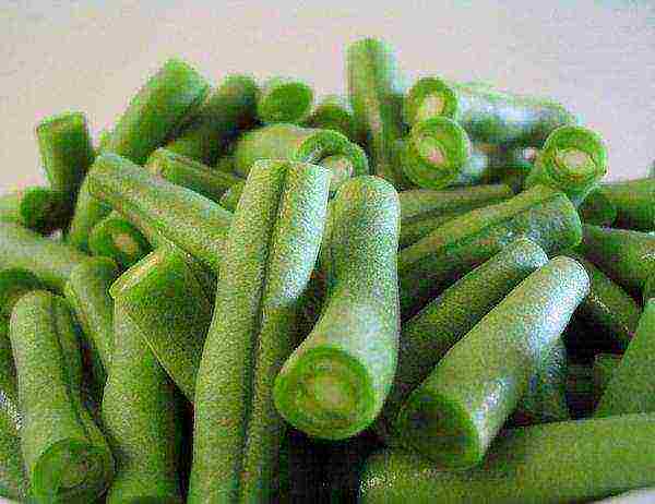Green beans are the unripe pods of a legume plant