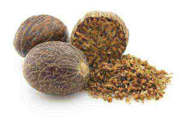 Nutmeg is used in desserts, sauces, sausages and fish dishes