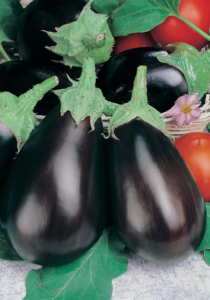 best grade eggplant