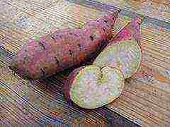sweet potato best varieties