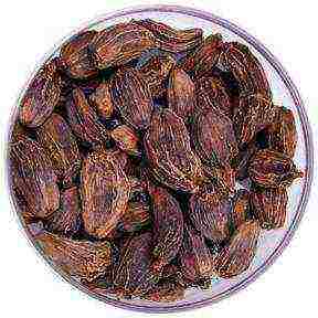 what is grown in india star anise cardamom chocolate guarana