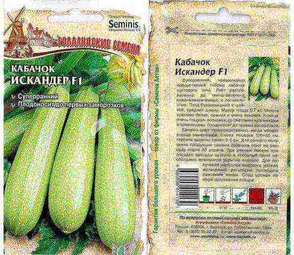 zucchini the best varieties