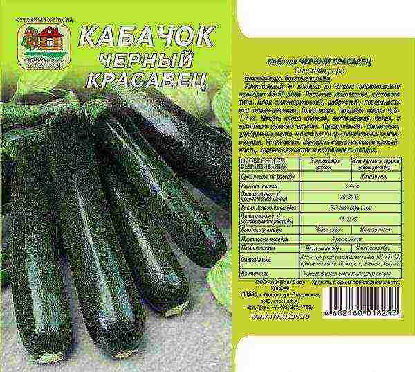 zucchini the best varieties