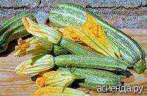 zucchini best varieties