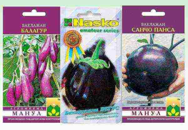 good varieties of eggplant